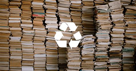 how to dispose of old books: considering the environmental impact of book disposal